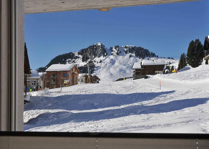 Alpen-park * 利德阿尔卑斯